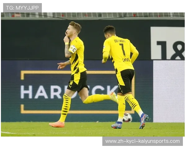 钢铁意志与战术智慧的结合 解密德甲霸主球队背后的竞技哲学