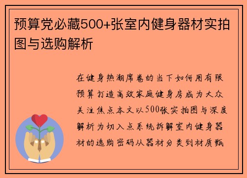 预算党必藏500+张室内健身器材实拍图与选购解析